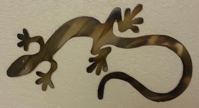 Skinny Lizard
