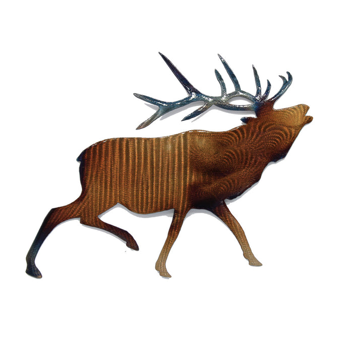 Bugling Elk