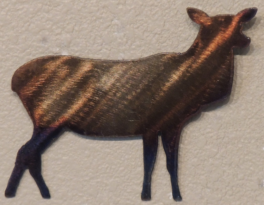 Cow Elk