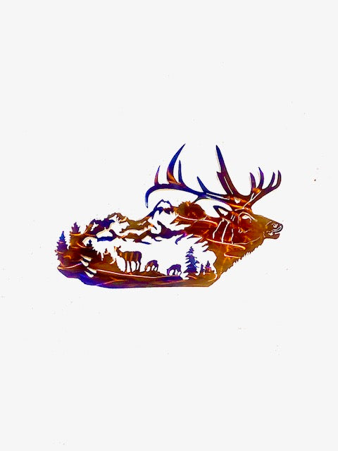 Elk Life